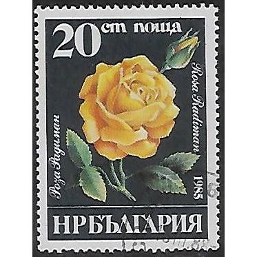Mi 3375: 20 st. multicoloured Roses: Rosa 'Radiman'