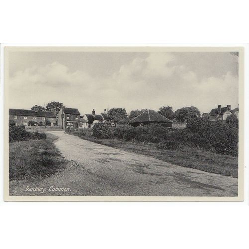 Danbury Common Essex Postcard D3