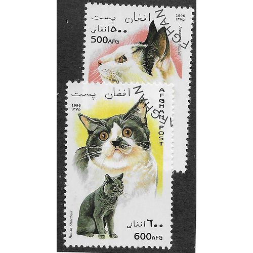 AFG 1996 500/600 AFG 'CATS' FINE USED (EBID59-151)