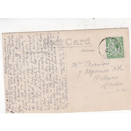 Castle Rock Undercliff Beer Head Devon Postcard posted 1933 VGC
