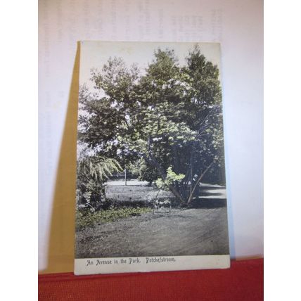 AVENUE IN PARK, POTCHEFSTROOM, SOUTH AFRICA used antique postcard 1909 pm =