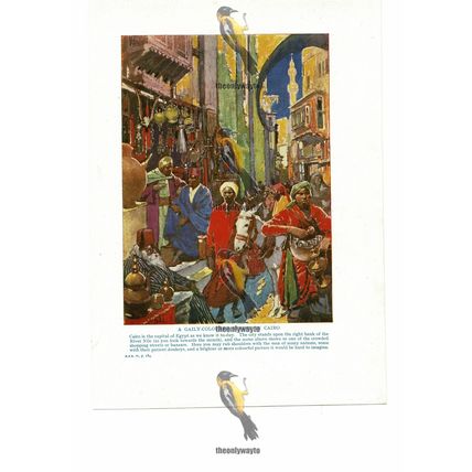Cairo Street Scene, Egypt, Book Illustration (Print), c1935