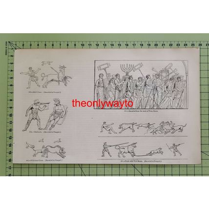 Roman Gladiatorial & Hunting Scenes, Book Illustration (Print), 1850