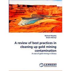 A review of best practices in cleaning up gold mining contamination