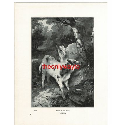 French Fishing Fleet, Boulogne (Babes, Reverse), Book Illustration (Print), 1893