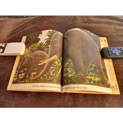 Little Golden Book Wild Animals By Feodor Rojankovsky 5.0 Very Good/Fine 1970