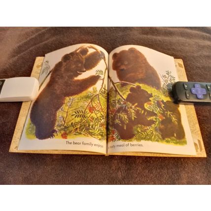 Little Golden Book Wild Animals By Feodor Rojankovsky 5.0 Very Good/Fine 1970
