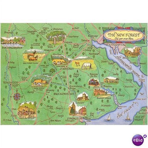 GB Postcard - The New Forest - Hampshire