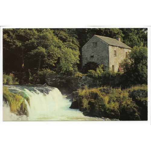 Old Mill and Falls Cenarth Carmarthenshire Postcard 23745
