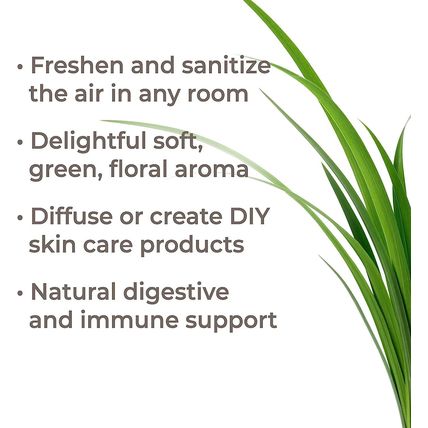 Palmarosa Essential Oil Plant Therapy Organic - 1 OZ (30ML)