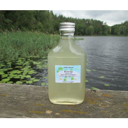 200ml natural fermented Birch Sap / Juice / from the wild forest of Latvia