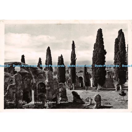 D025226 Tivoli. Villa Adriana. Terme Grandi. L. P. Trivoli. Bromofoto. 1956