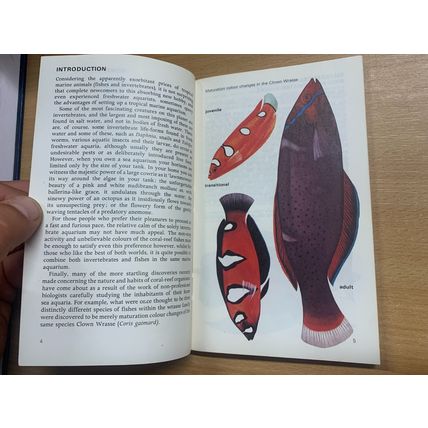 1980 "TROPICAL MARINE AQUARIA" ILLUSTRATED VINTAGE PAPERBACK BOOK (P2)