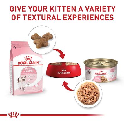 Royal Canin Feline Health Nutrition Kitten Thin Slices in Gravy Canned Cat Food,