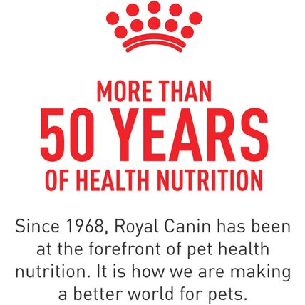 Royal Canin Feline Health Nutrition Kitten Thin Slices in Gravy Canned Cat Food,