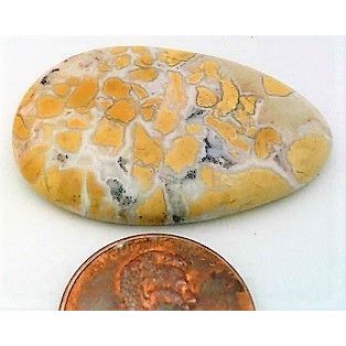 Stone Canyon Jasper Freeform Gemstone Cabochon 24