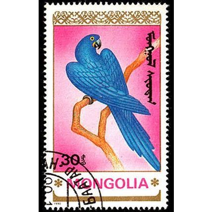 Mongolia 1990 Parrots 30M Used Stamp