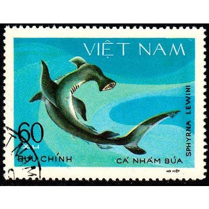 Vietnam 1980 Marine Life Fish 60xu Used Stamp Shark