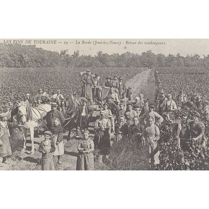 Les Vins De Touraine La Bord Joue Les Tourz French Reproduction Rare Postcard