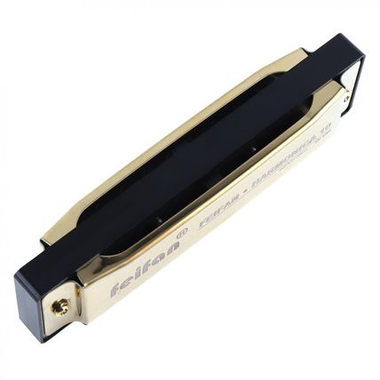 10 Holes 20 Tone Matte Gold/Black Portable Harmonica Blues Harp Mouth Organ