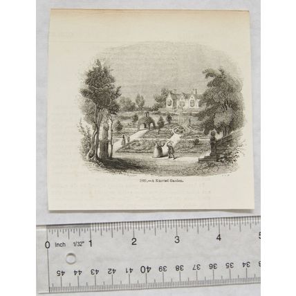 1860s engraving - A knotted garden