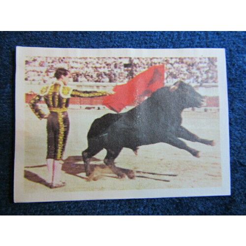 Unusual Sports 1968 ~ Jacques Chocolates Belgium Sports Sticker Variants (e9)