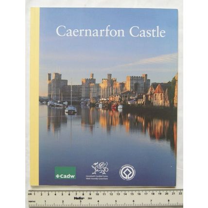 2008 Caernarfon Castle and Town Walls by Arnold Taylor
