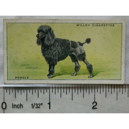 1937 Wills Dogs No. 23 Poodle