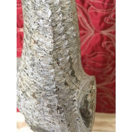 Aftican Art Shona Hand Carved Stone Eagle 4.5 kg Over 12” Inches Collectable