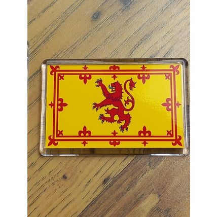 Scotland / Rampant Lion / Tartan Army / Euros themed fridge magnet set
