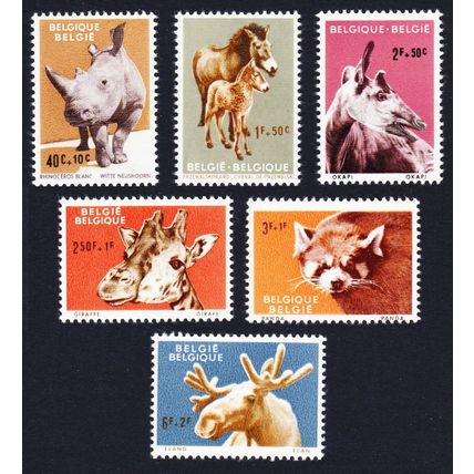 Belgium Panda Rhino Giraffe Animals of Antwerp Zoo 6v 1961 MNH SG#1778-1783