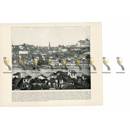 Oporto, Portugal, Book Illustration (Print), 1899