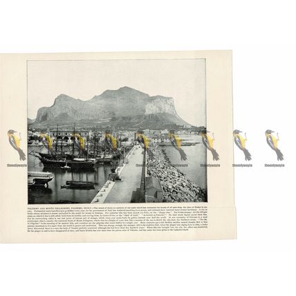 Palermo & Monte Pellegrino, Sicily, Italy, Book Illustration (Print), 1899