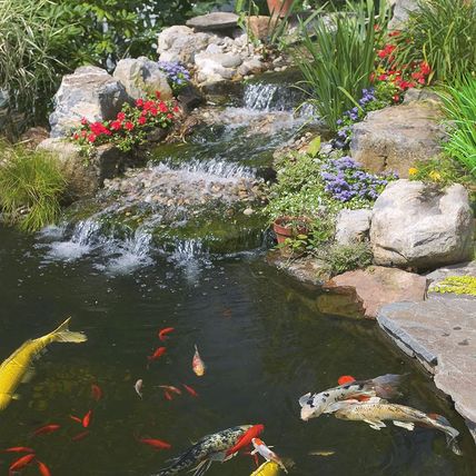 Tetrapond Pond Sticks Pond Fish Food for Goldfish and Koi, Healthy Nutrition Cle
