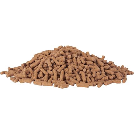 Tetrapond Pond Sticks Pond Fish Food for Goldfish and Koi, Healthy Nutrition Cle