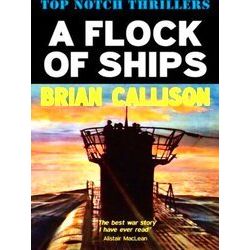 A Flock Of Ships