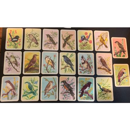 20 Vintage Tuckfields Australian Bird Cards - SET E