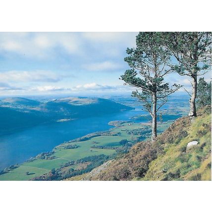 PP186: Bassenthwaite Lake from Dodd Summit