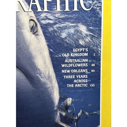 National Geographic Magazine January 1995 Gray Reef Sharks Vintage Collectable b