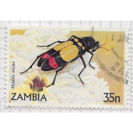 ZAMBIA 1986 INSECT BEETLE BLISTER TRICOLOR MYLABRIS 35n USED