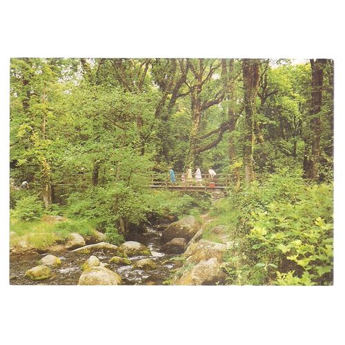 BRIDGE, BECKY FALLS DARTMOOR by Herbert Truman unused postcard J. Arthur Dixon =