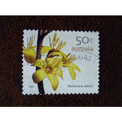 Australia 2007 Australian Wild flowers 50c Phebalium whitei used stamps SG2762
