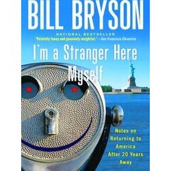 I'm a Stranger Here Myself