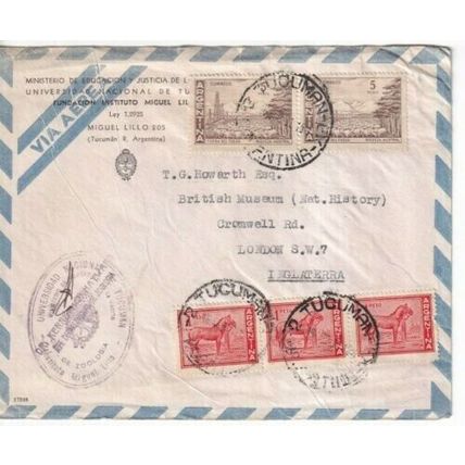 Argentina 1961 Ministerio de Educacion Tucuman Airmail cover typed VGC