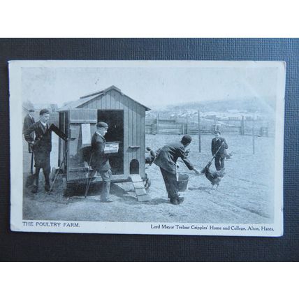 Poultry Farm, Lord Mayor Treloar Cripples Home, Alton, Hampshire Postcard