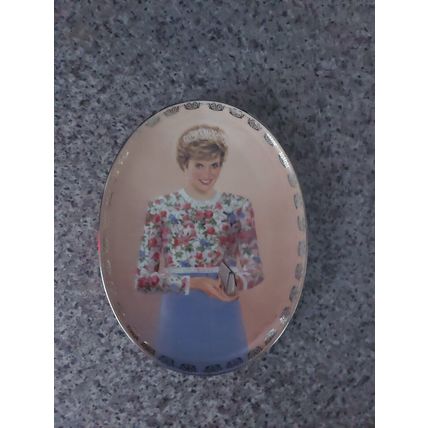 Bradford Exchange - Diana, Queen of our Hearts Collection - A True Princess