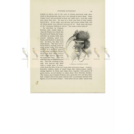 Western Polynesian Dandy, French Polynesia, Book Illustration (Print), 1894
