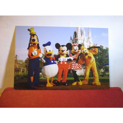 DISNEY, CINDERELLA'S CASTLE, MAGIC KINGDOM PARK unused postcard =