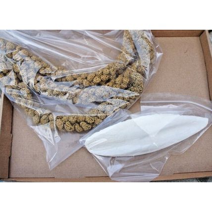 QUALITY BUSHY MILLETS SPRAYS IDEAL FOR CAGE, AVIARY & WILD BIRDS, GERBILS & MICE