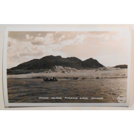 Pelicans] Anaho Island, Pyramid Lake, Nevada : 3 RPPC Antique Photo Postcards
